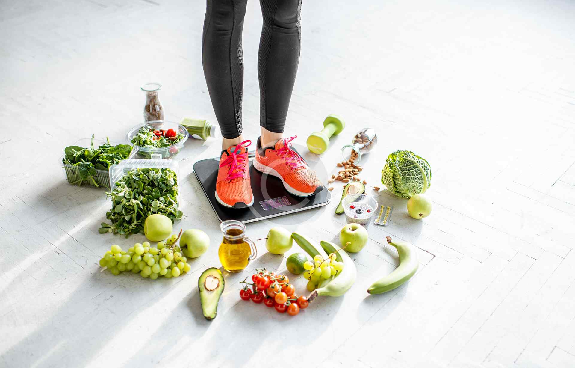 FLORIDA REGISTERED DIETITIAN LICENSE visual data 5